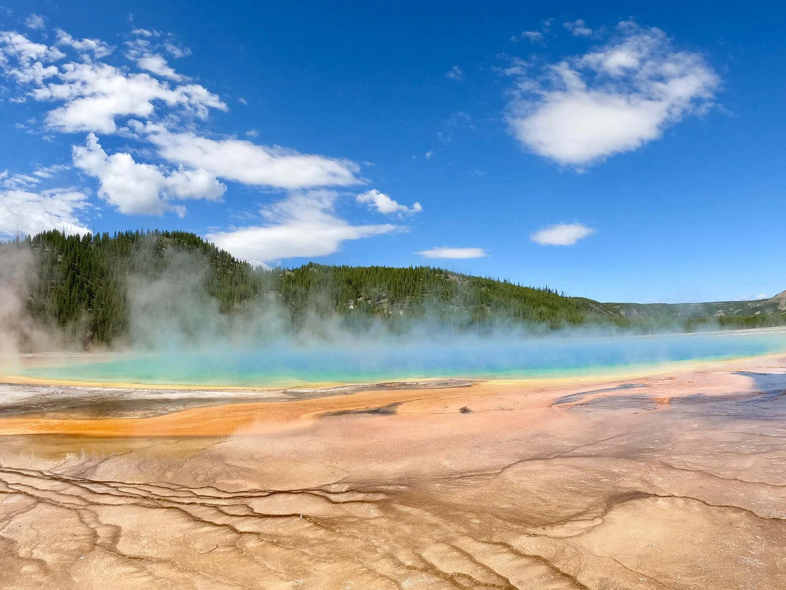 Imagen de WhatsApp 2025-02-11 a las 11.16.16_9726c294 copia