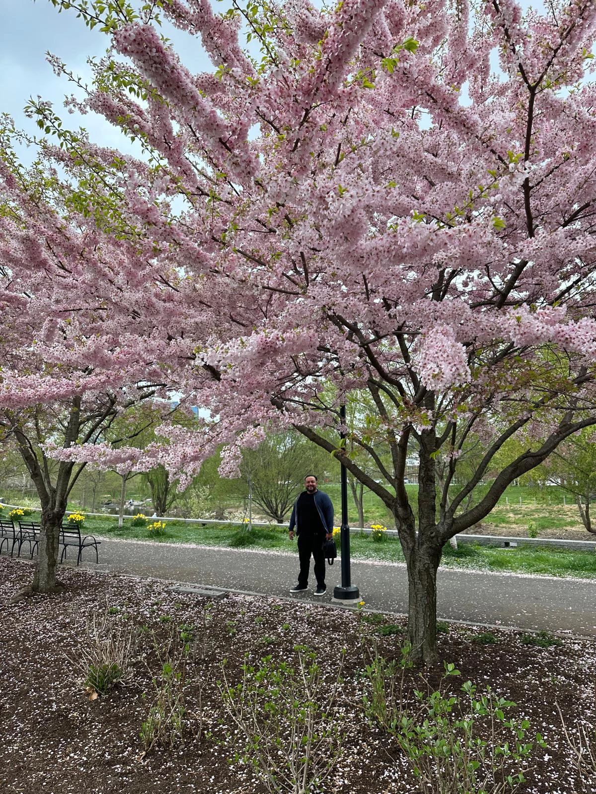 Imagen de WhatsApp 2025-02-11 a las 11.24.43_fe0d9fe1 copia