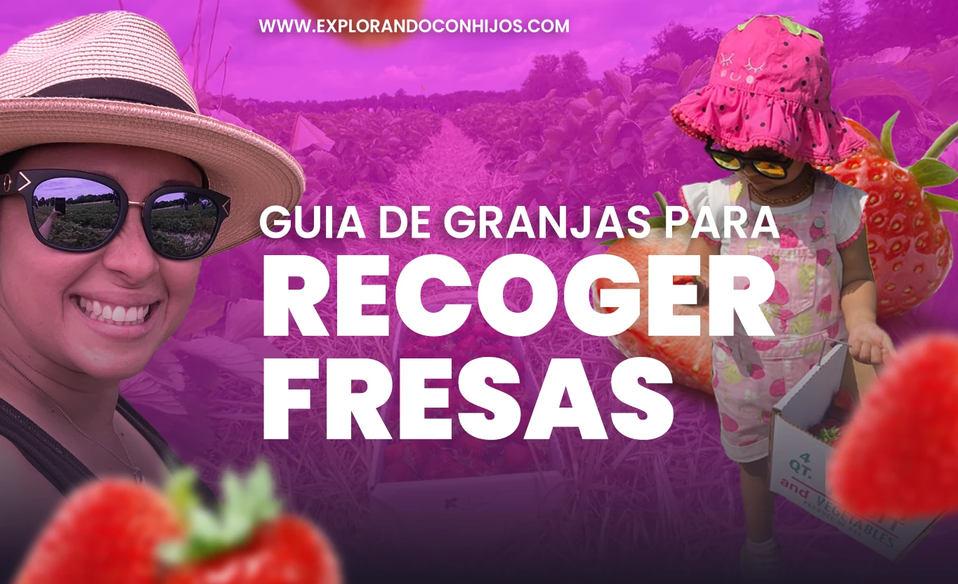 Guía de granjas para recoger fresas en NY