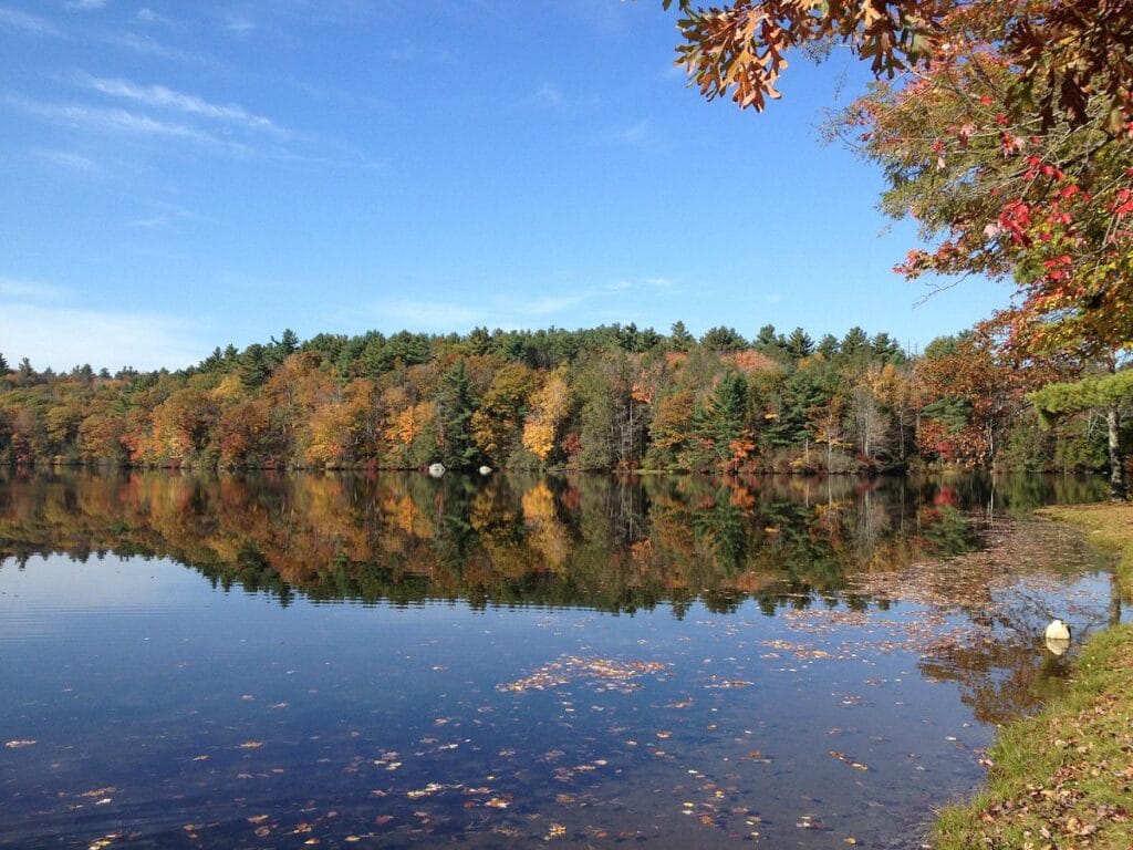 Burr Pond State Park – Torrington